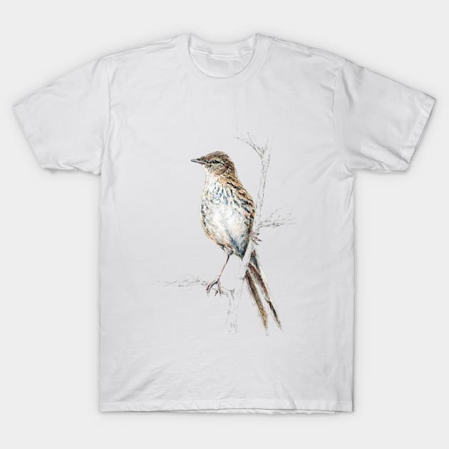 Mr Matata, New Zealand Fernbird T-Shirt by EmilieGeant